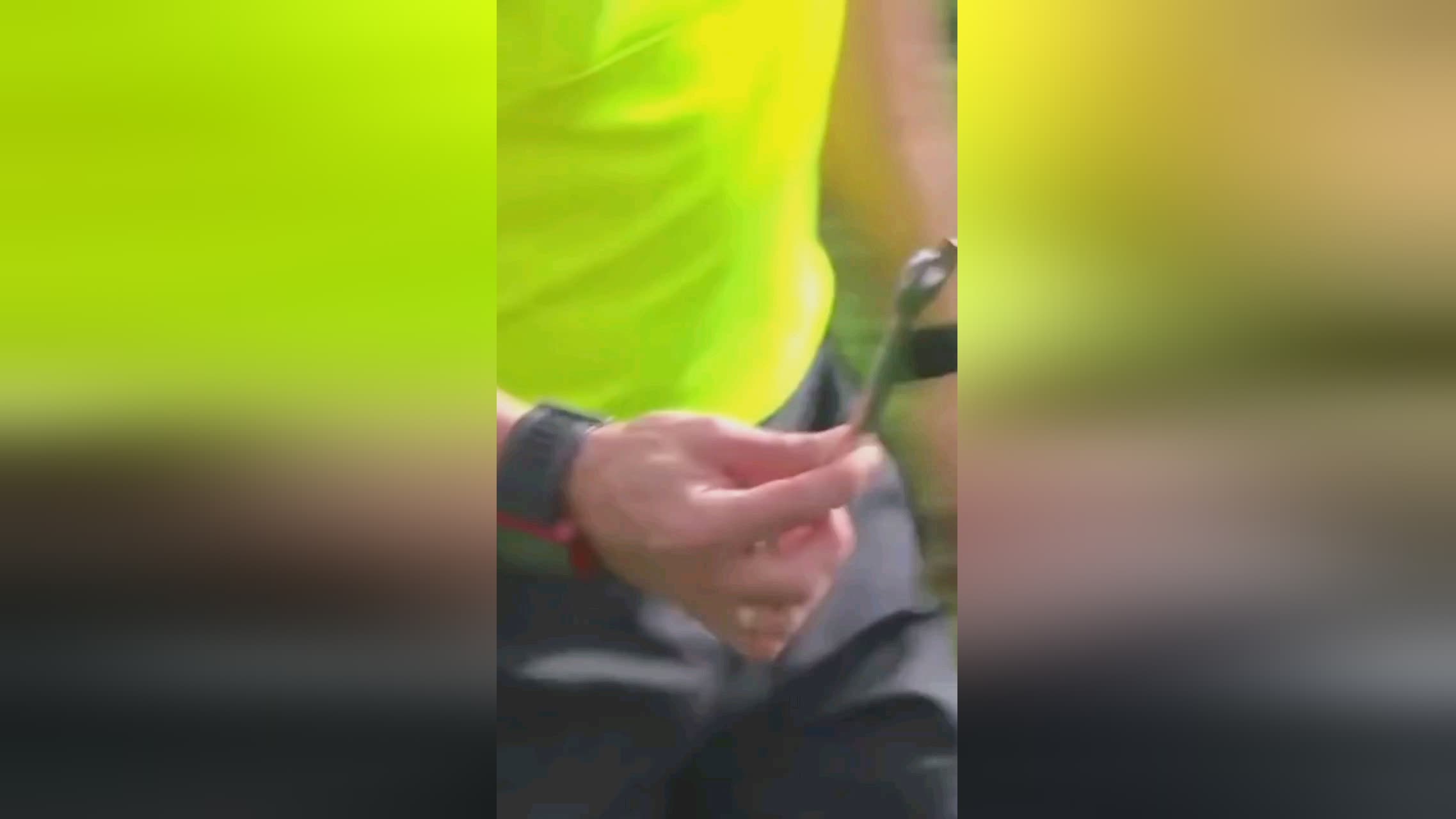 近年来一